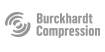 burckhard compression